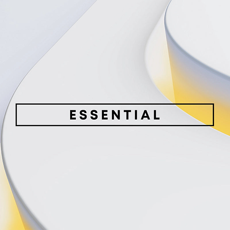 PlayStation Plus Essential 12 Months Subscription